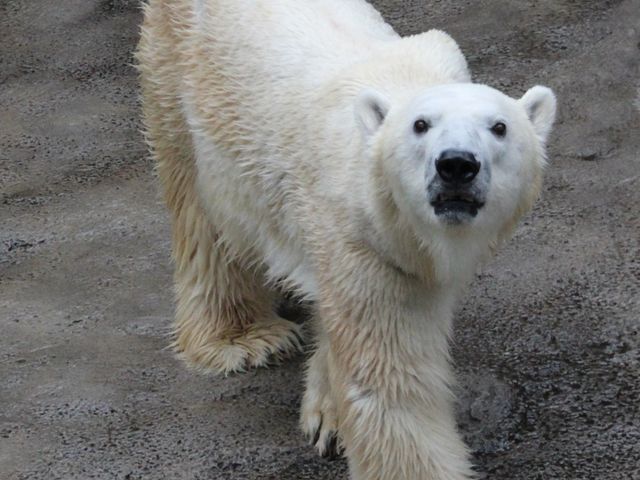 ���R������