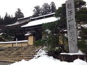 ����[����񂳂�̑T�����i�򕌌����C�s�j�̓��e�ʐ^1