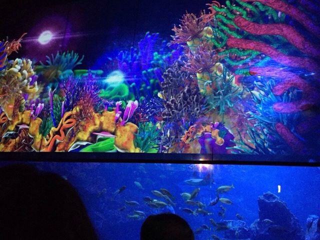 �v���W�F�N�V�����}�b�s���O_���s������