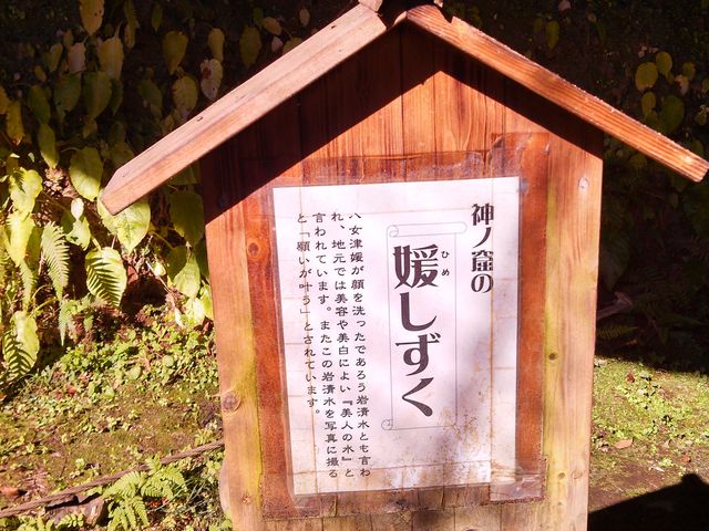 �����ÕQ�_��