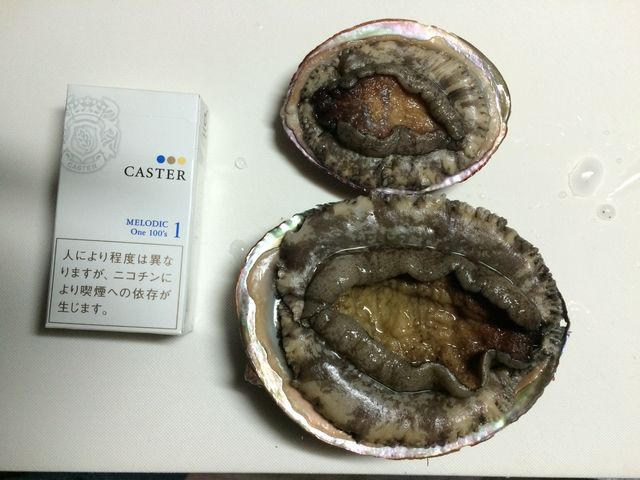 Ďq̒sōw܂B
ƂĂłB_Ďqs