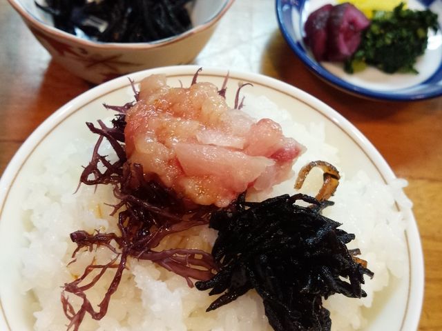 Ȃ߂낤тɂ̂Ă܂B͂B_{̖낳