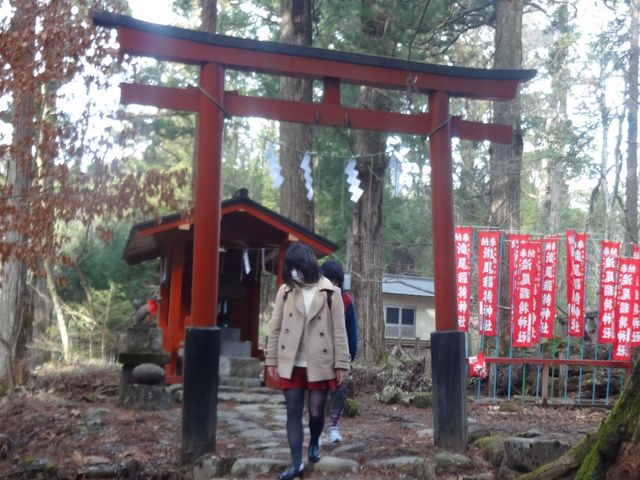 _Ђ̗̈_jՒTHi_ЃR[Xj