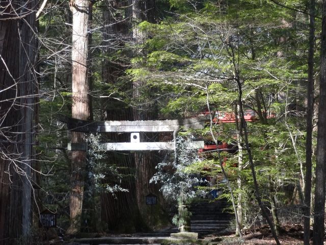 ܂ʂ邩ȁHI
Q[Dɂ͂܂ȂB_БO̖ȒB_jՒTHi_ЃR[Xj