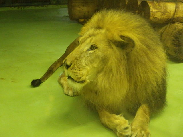 �~�R������