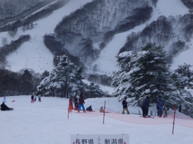 �R�[�X��ɂ��錧��_��������