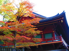 kazuさんさんの日光山　輪王寺の投稿写真1