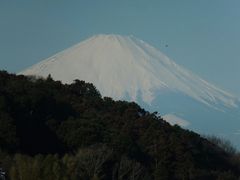 �j�R����񂳂�ٓ̕V�������ւ̓��e�ʐ^1