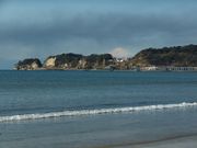 jR񂳂̍ޖ؍C̓eʐ^1