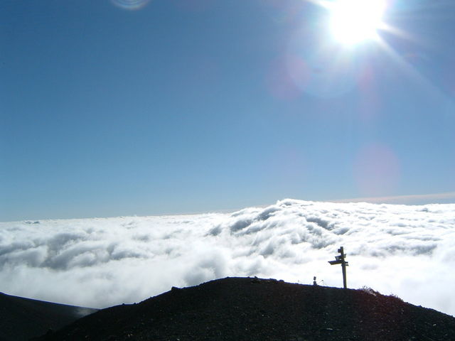 ��i�n�C�L���O�R�[�X_��i�g���b�L���O�R�[�X