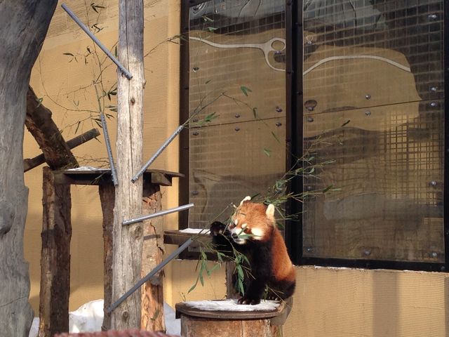 ���b�T�[�p���__���R������