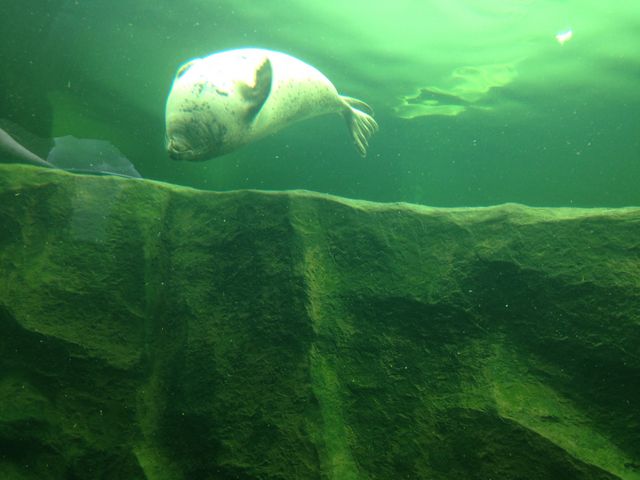 �A�U���V_���R������