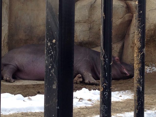 �J�o_���R������