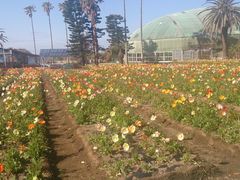 ށ[񂳂̔lt[p[Nւ̓eʐ^1