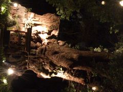 ���{�_�Ђ̑��̎ʐ^1