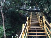 񂿂񂳂̉͒Î̓eʐ^2