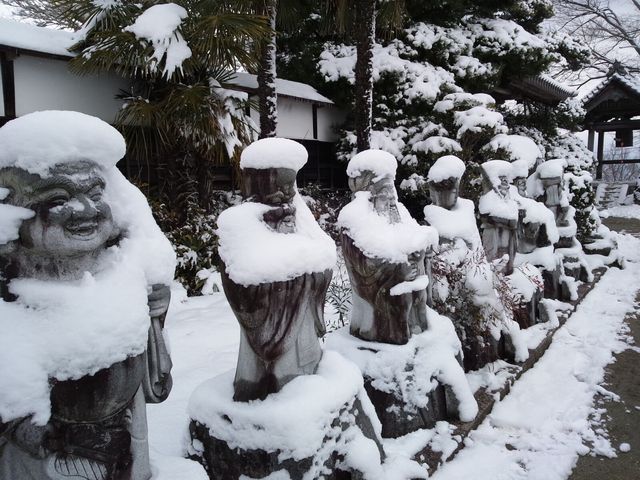 ݂Ԃ̗ڗi쌧Xj̓eʐ^1