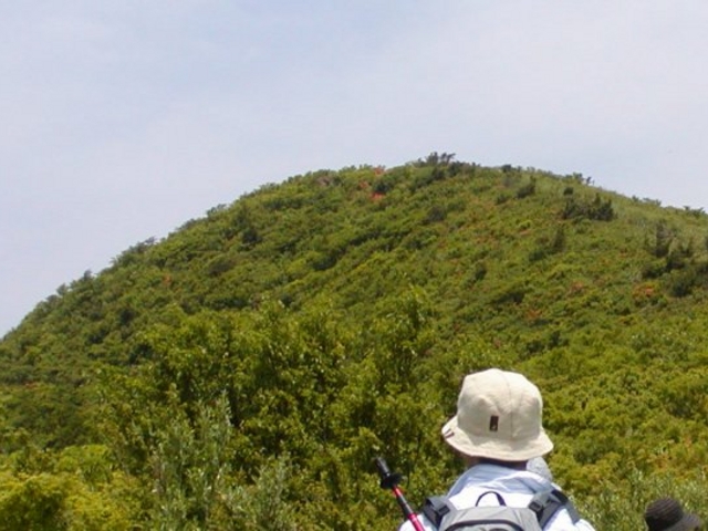 �Y���R�u�y�ɓo��܂��v_�Y���R