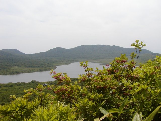 �R���王����_�Y���R