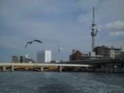 }}̋c쐅oXȋ`l{`̏oV̓eʐ^1