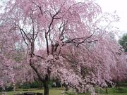 hiro1959̍r隬̓eʐ^1