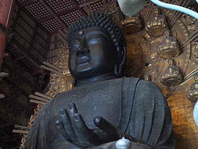 �啧�l_���厛�����i�啧�a�j