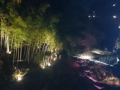 ���R����̎ʐ^1