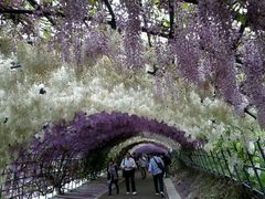 �͓������̎ʐ^1