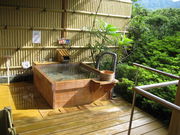 ЂȂ̉򋽈Â̓eʐ^1