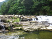 �����낳��̃J���r���[�̑�̓��e�ʐ^1