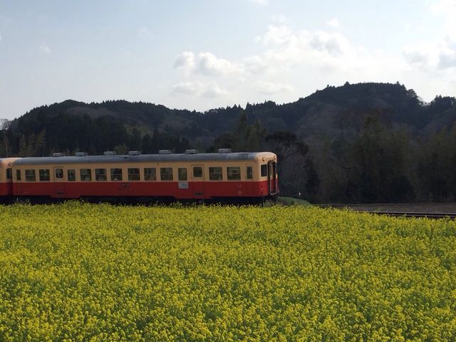 �ΐ_�@�؂̉Ԕ�_�����c��