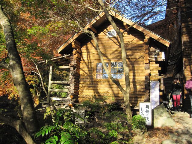 2014�N11��16���B�e�j
���v����q�E���҂̑�u���݂����v_���҂̑���݂���