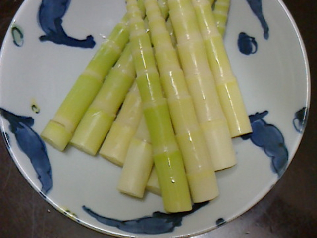 ŵR؁iP|jł̂łB
`B_̉w ΐ_̋u