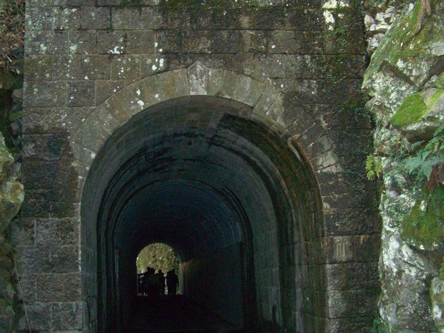 �̂̐X�ѓS���̃g���l��_�䂸�̐X���H��