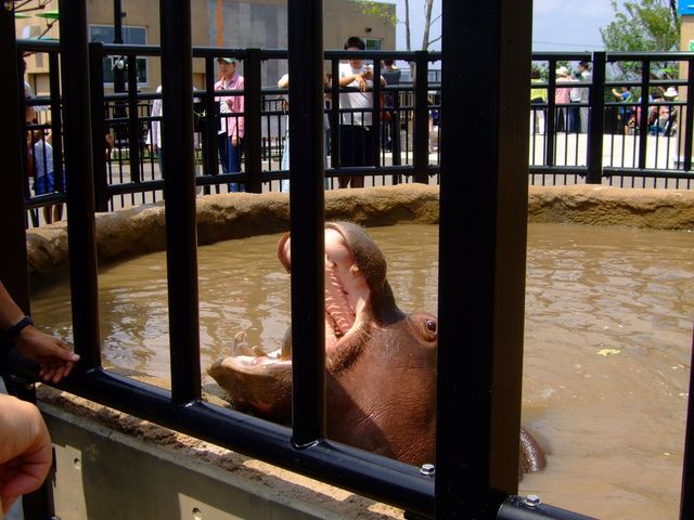 ���R������