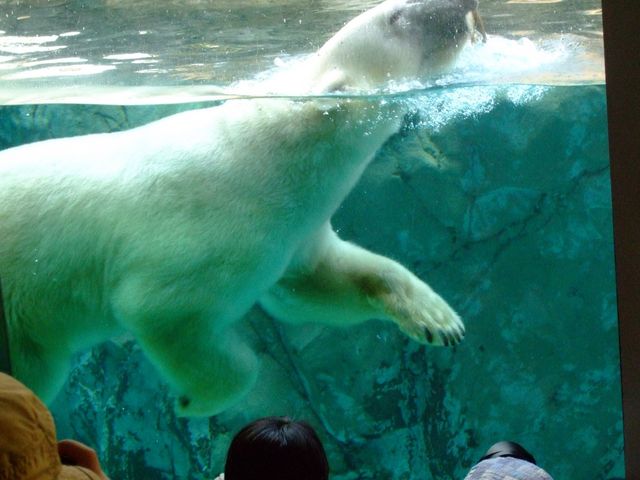 ���R������