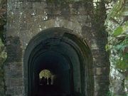 ݂񂳂̂䂸̐XH̓eʐ^3