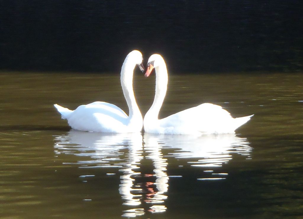 掛川花鳥園