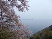 boss̉i΃p[NEFCÂW]̓eʐ^1