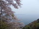 bossさんの奥琵琶湖パークウェイつづら尾崎展望台の投稿写真1