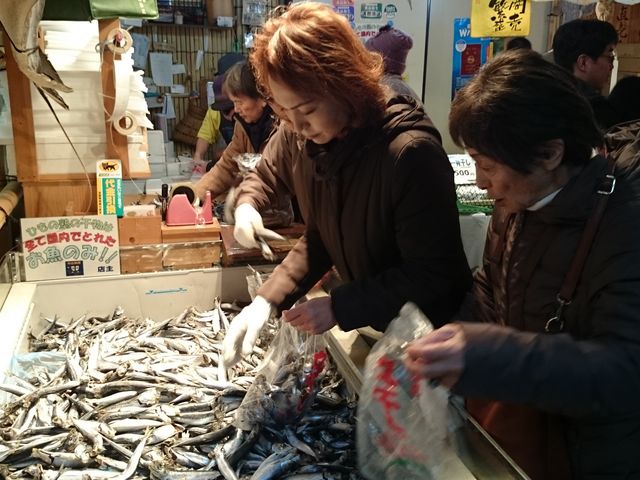 �P��̂��킵�̑܋l�߂ł��B_���{�C�����ȊX