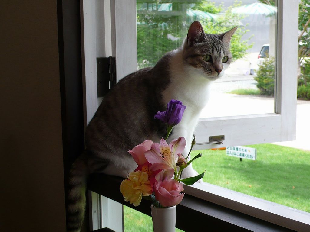 河口の美術館ランキングtop1 じゃらんnet