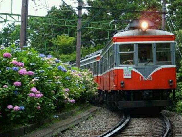 �����o�R�d�ԉ����̃A�W�T�C