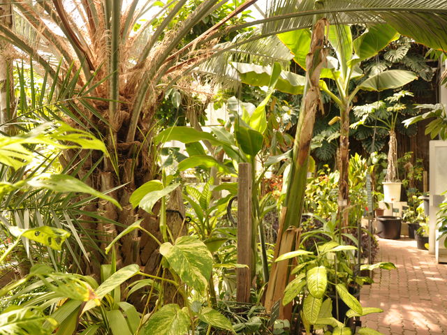 ��Ă��ۂ��A���B_�k�C����w�A����