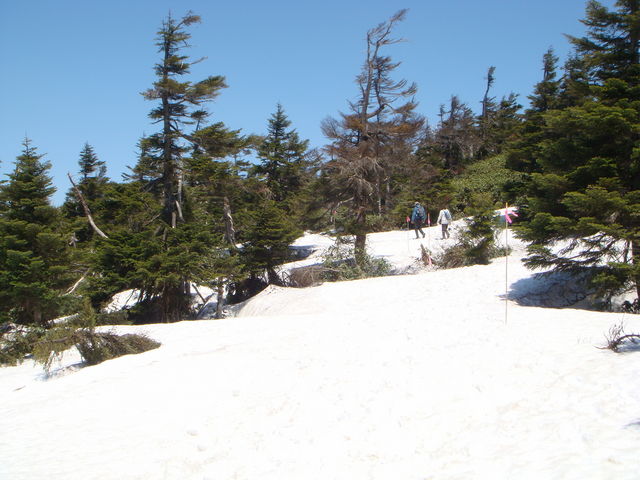 �V�����͐�̉��B_������