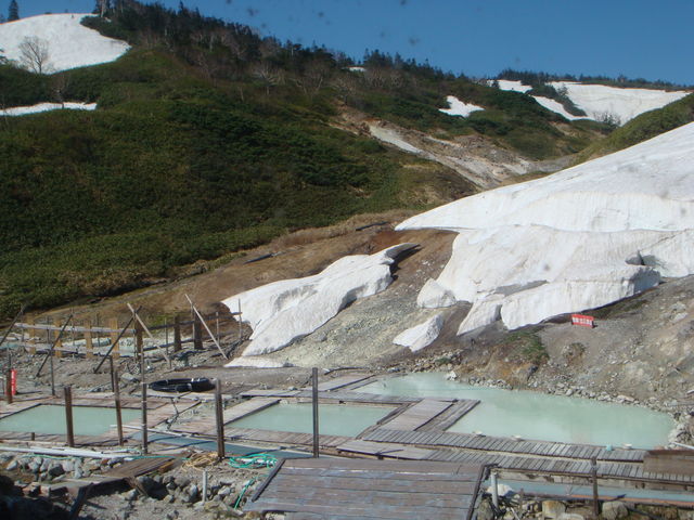 �c��̘I�V���C�B_��������ʉ_��