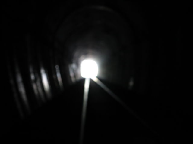 gl͐^ÁAoƃzbg܂B_[}EeoCN@f@fII