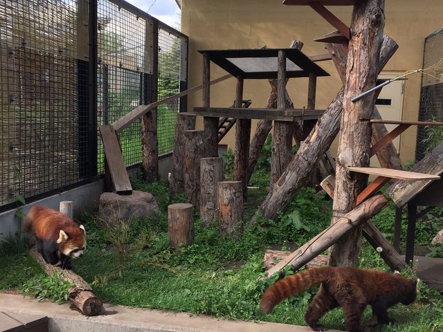 ���b�T�[�p���__���R������