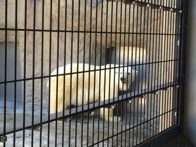 ���낭��_���R������