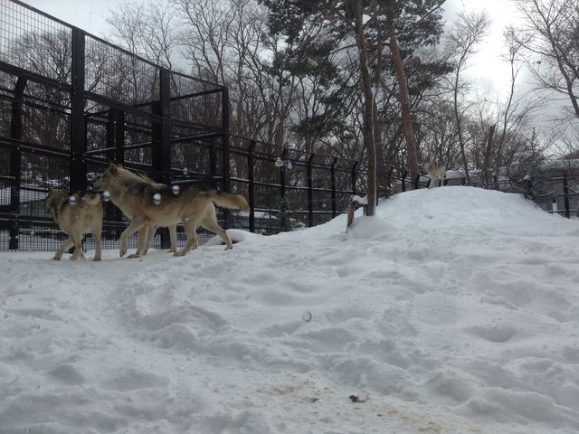 �I�I�J�~_�~�R������